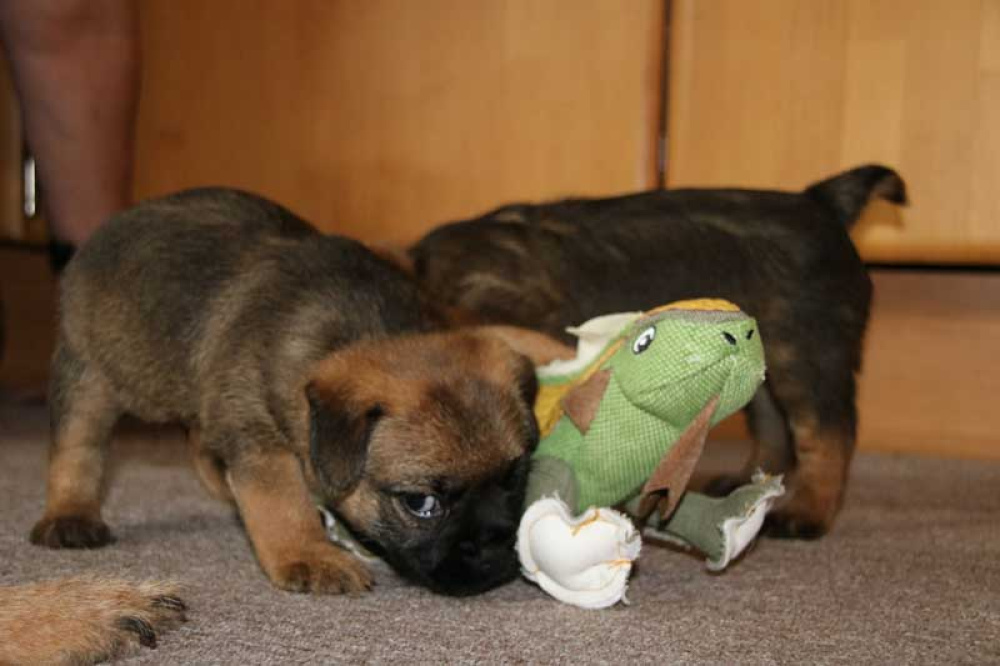 J-Wurf-Juli-2018-031