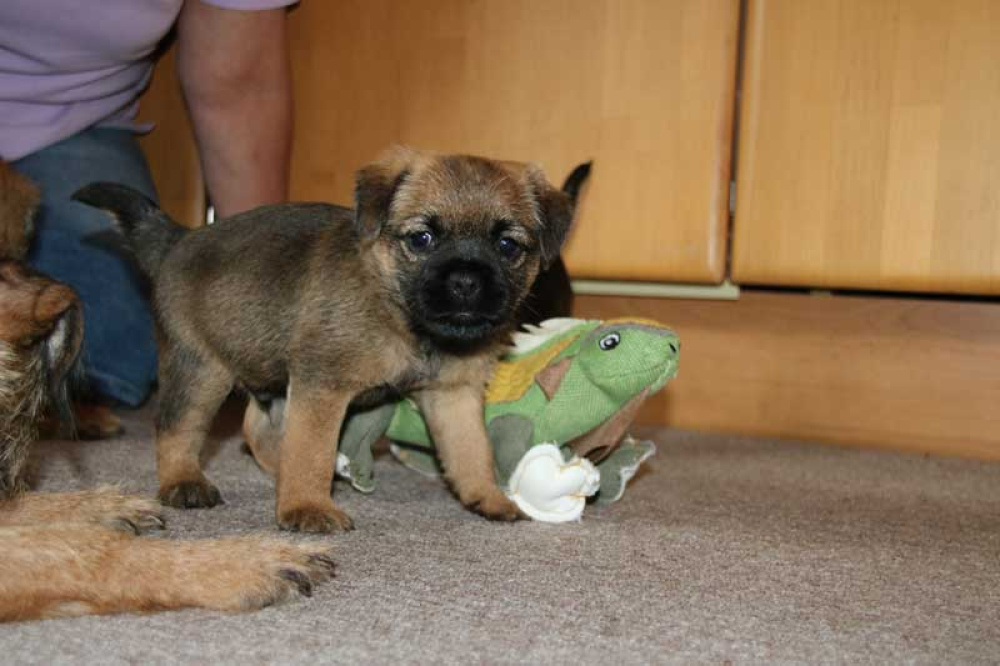 J-Wurf-Juli-2018-032