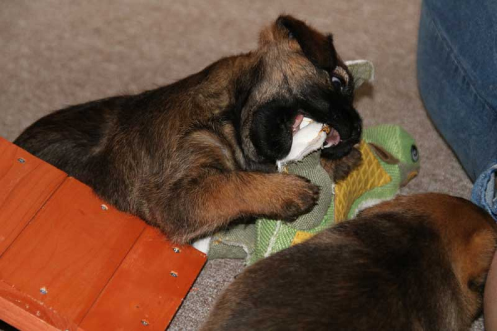 J-Wurf-Juli-2018-033