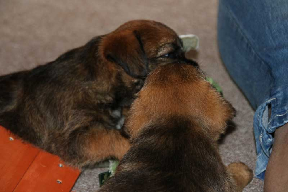 J-Wurf-Juli-2018-034