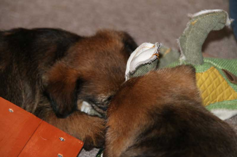 J-Wurf-Juli-2018-035