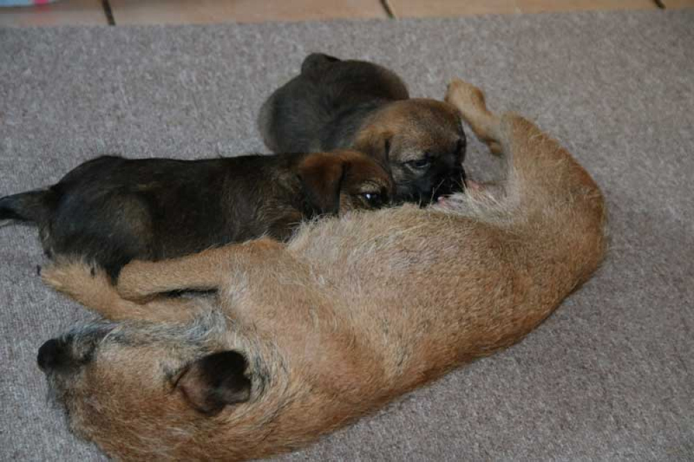 J-Wurf-Juli-2018-036