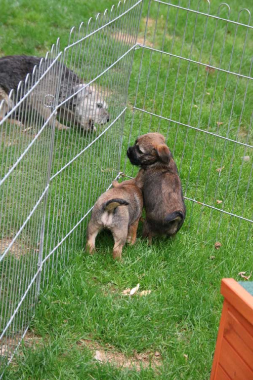 J-Wurf-Juli-2018-039