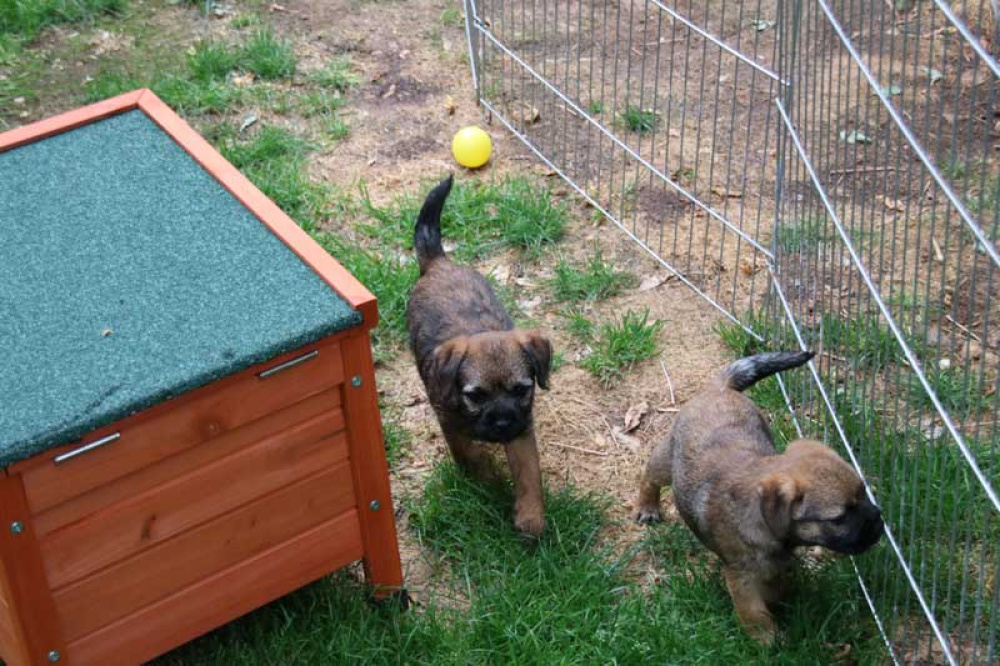 J-Wurf-Juli-2018-040