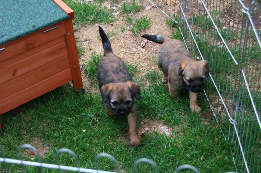 J-Wurf-Juli-2018-041