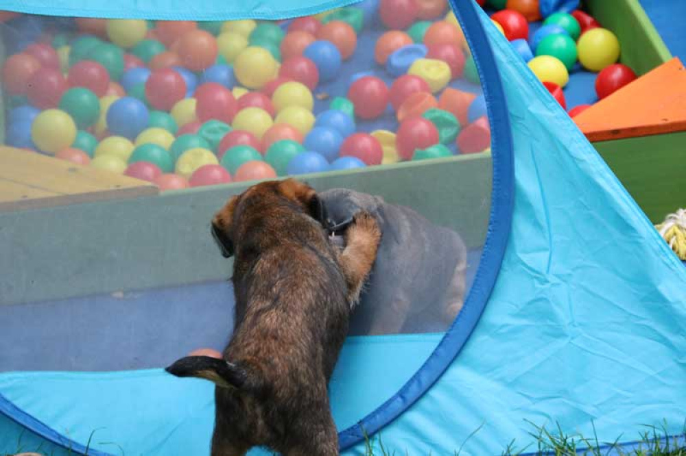 J-Wurf-Juli-2018-042