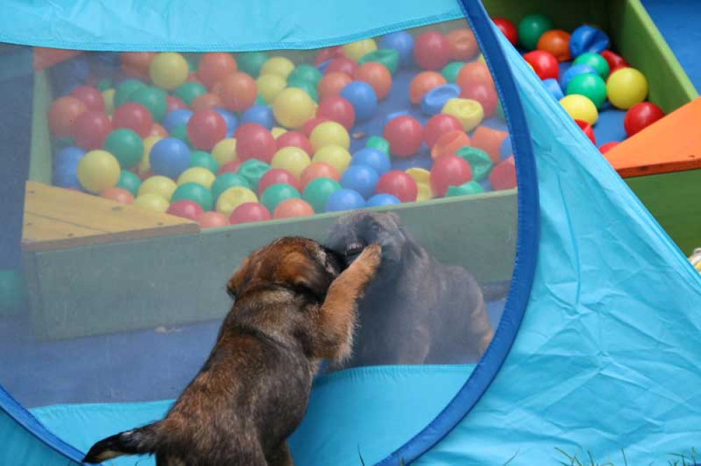 J-Wurf-Juli-2018-043