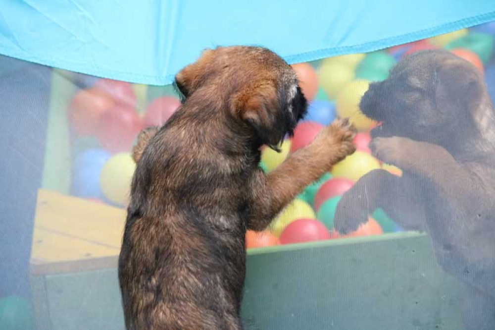 J-Wurf-Juli-2018-044