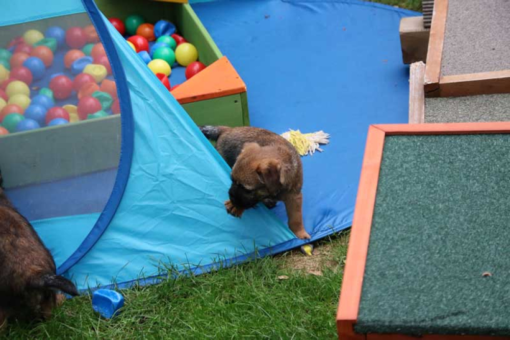 J-Wurf-Juli-2018-045