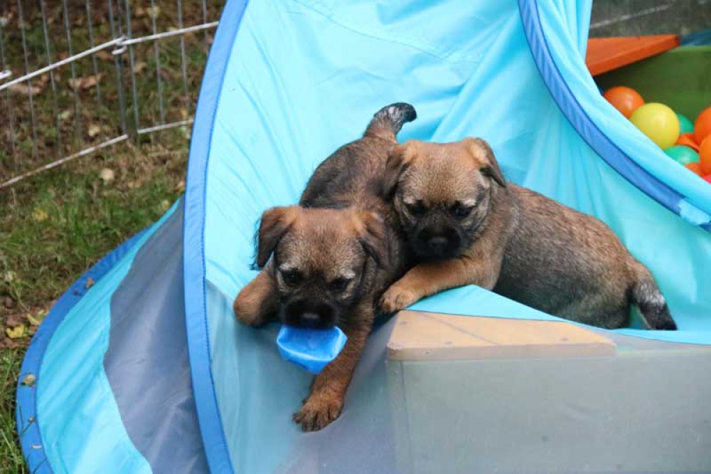 J-Wurf-Juli-2018-046