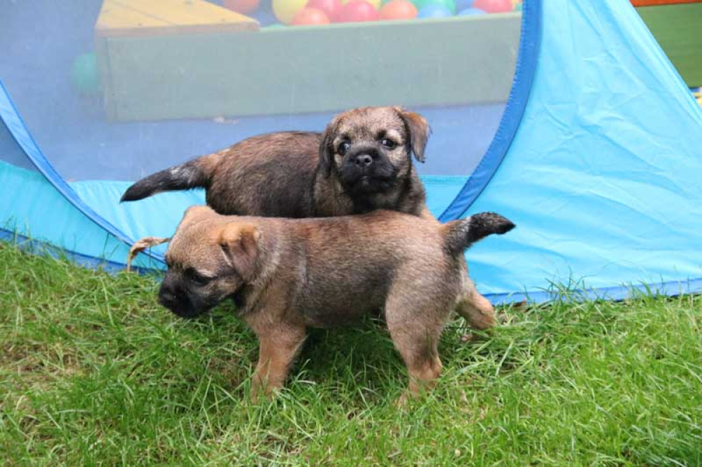 J-Wurf-Juli-2018-047