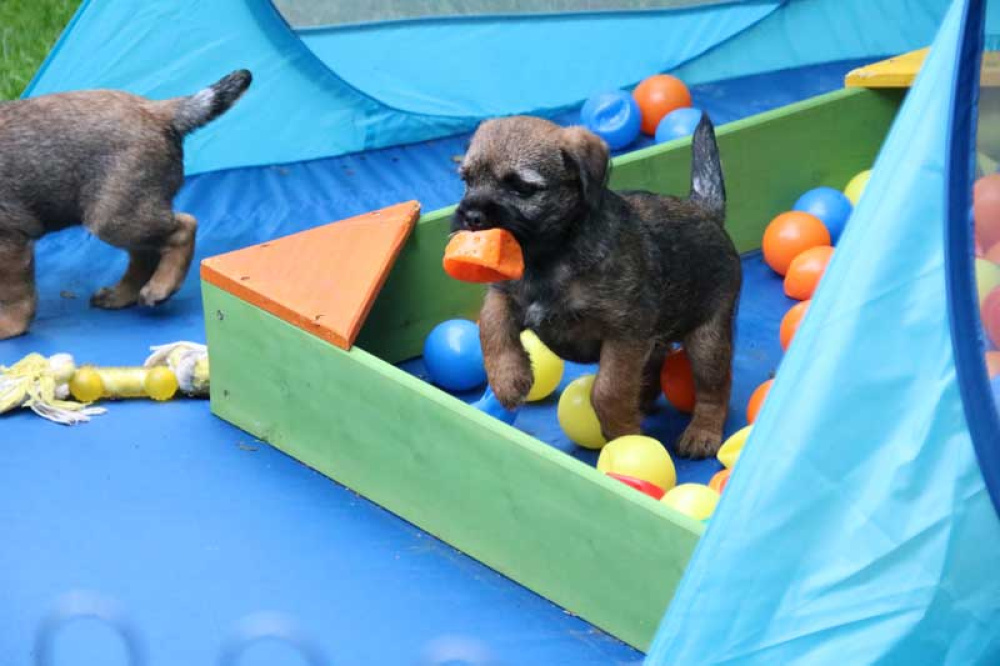 J-Wurf-Juli-2018-048