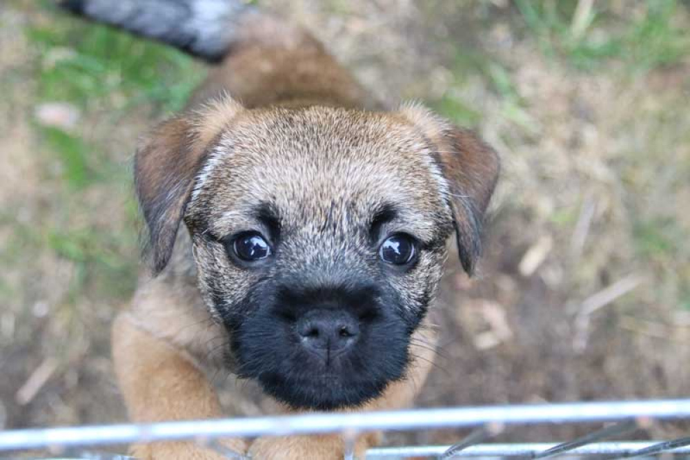 J-Wurf-Juli-2018-049