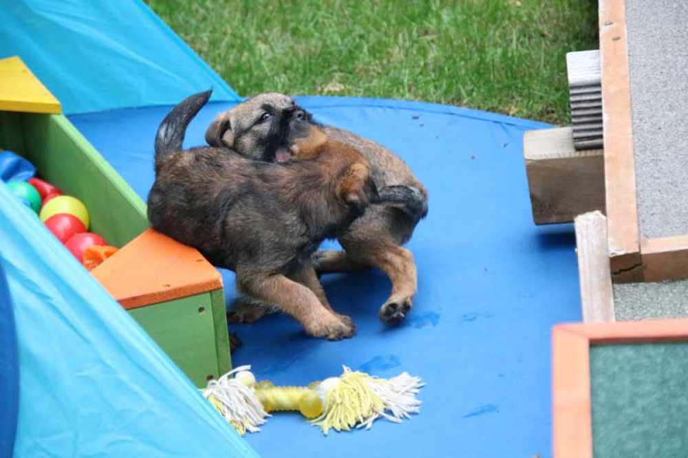 J-Wurf-Juli-2018-050