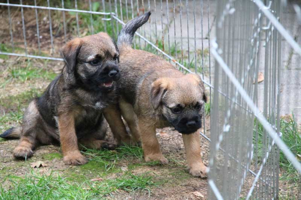 J-Wurf-Juli-2018-051