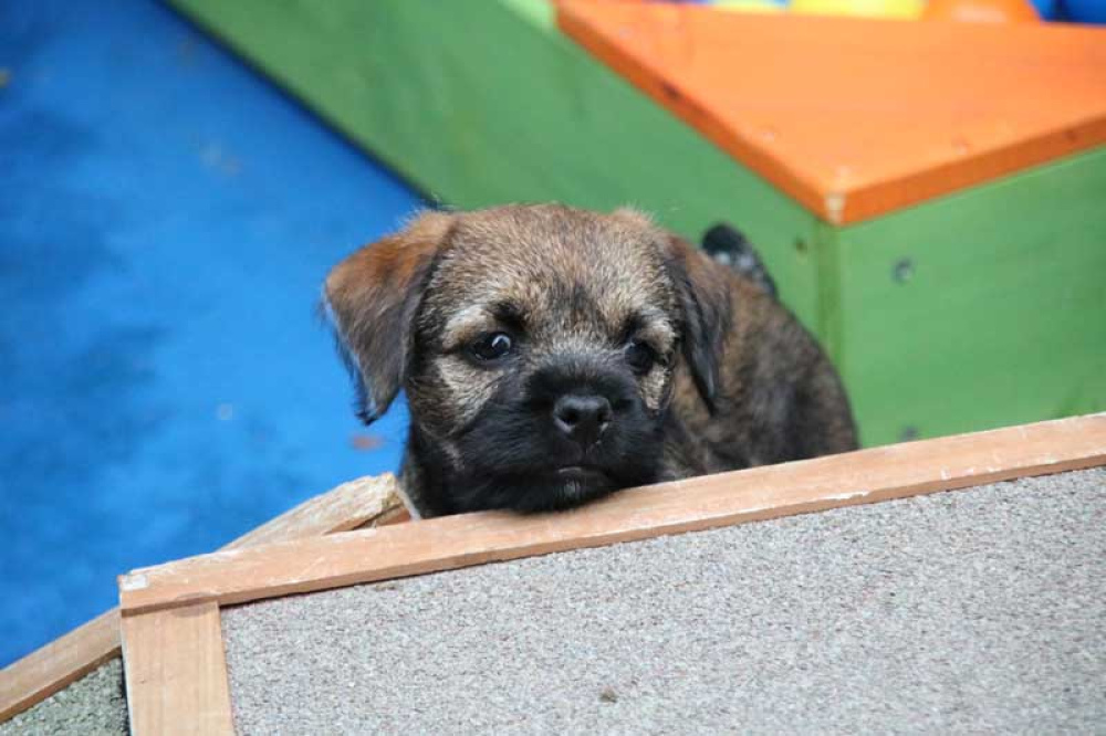 J-Wurf-Juli-2018-052