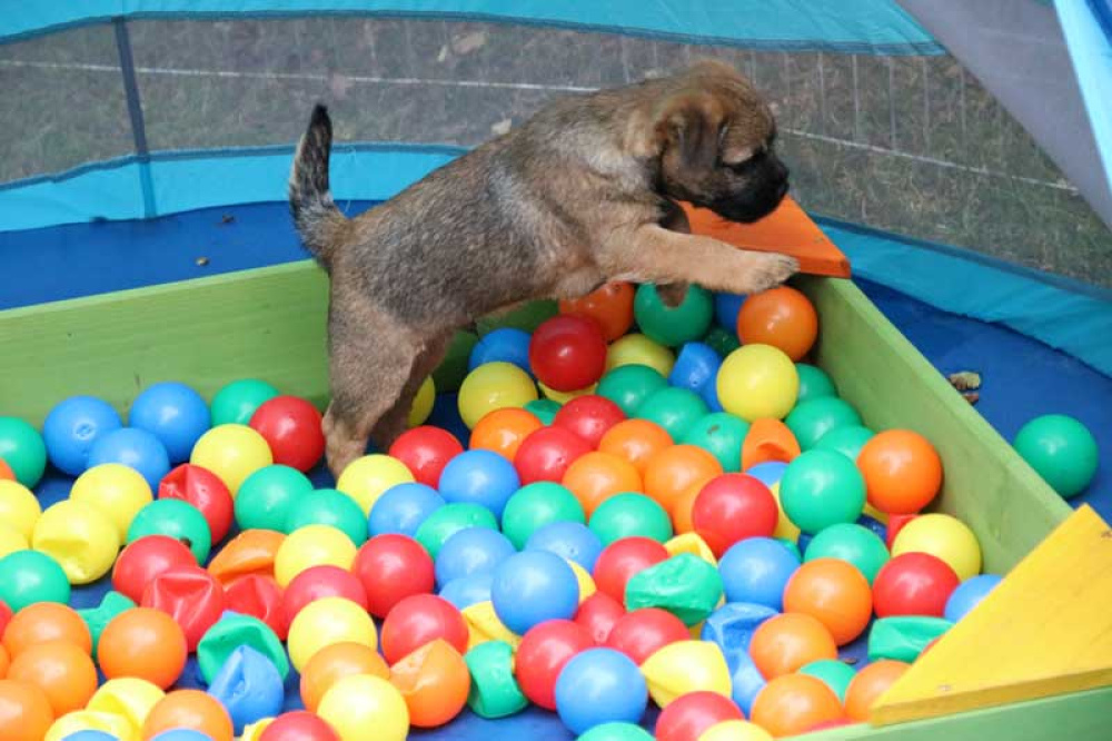 J-Wurf-Juli-2018-053