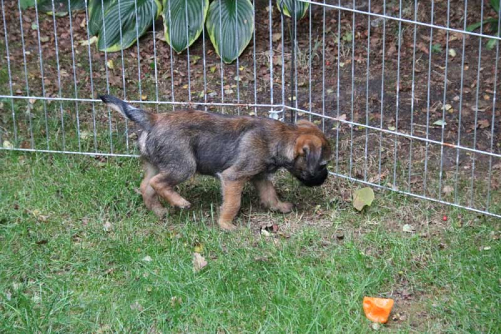 J-Wurf-Juli-2018-054