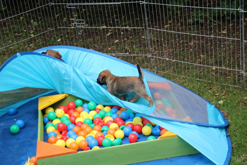 J-Wurf-Juli-2018-056