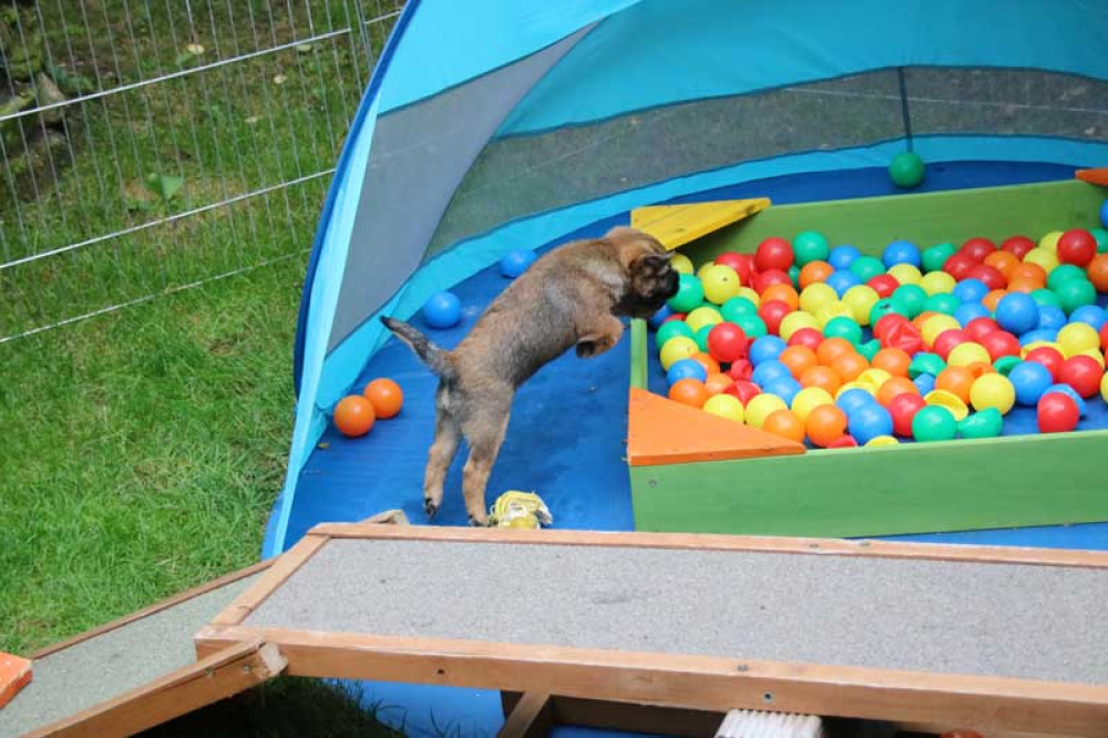 J-Wurf-Juli-2018-057