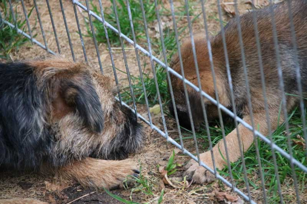 J-Wurf-Juli-2018-058