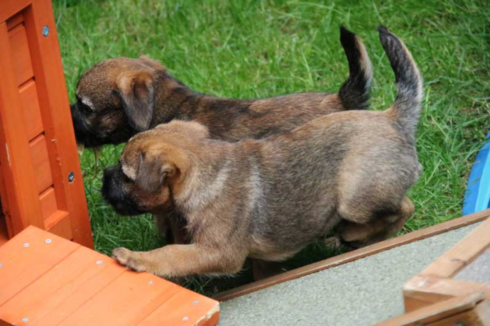 J-Wurf-Juli-2018-059