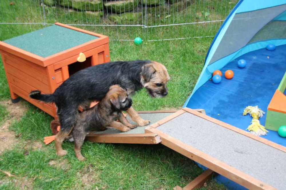 J-Wurf-Juli-2018-060