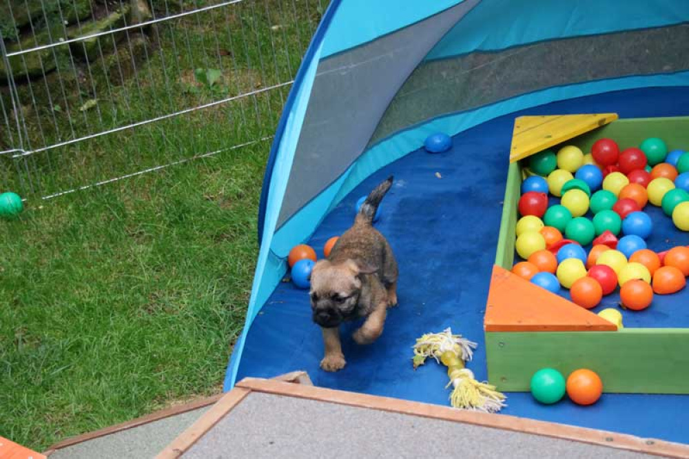 J-Wurf-Juli-2018-061