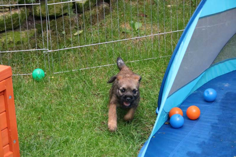 J-Wurf-Juli-2018-062