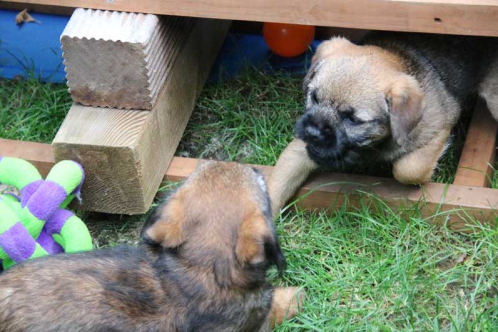 J-Wurf-Juli-2018-063