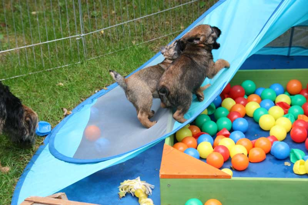 J-Wurf-Juli-2018-064