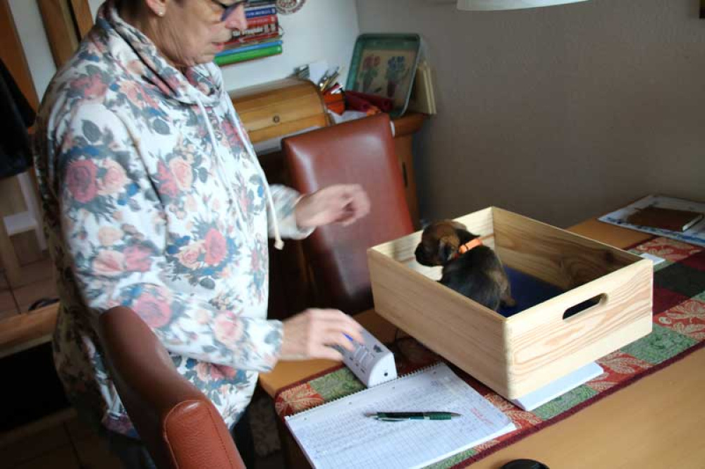 K-Wurf-Novemberi-2018-012