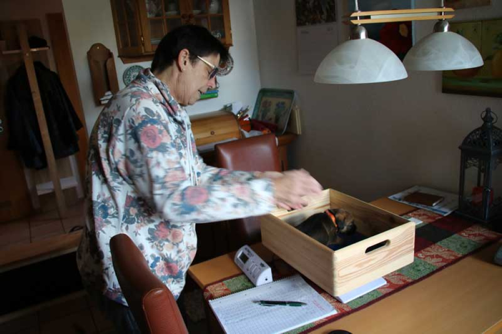 K-Wurf-Novemberi-2018-013