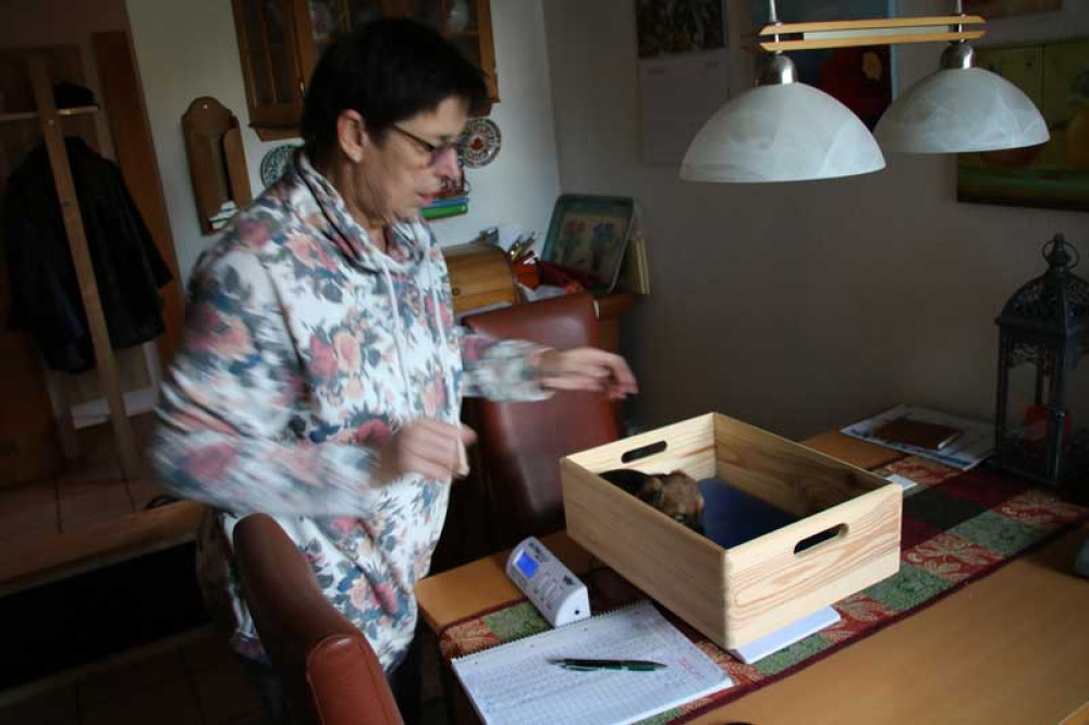 K-Wurf-Novemberi-2018-014