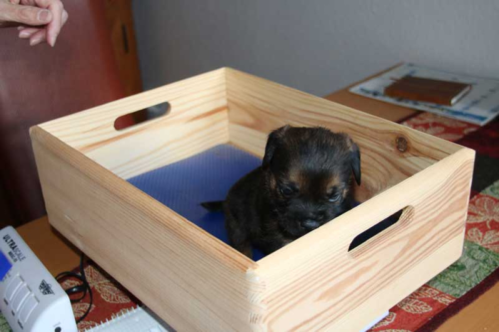 K-Wurf-Novemberi-2018-017