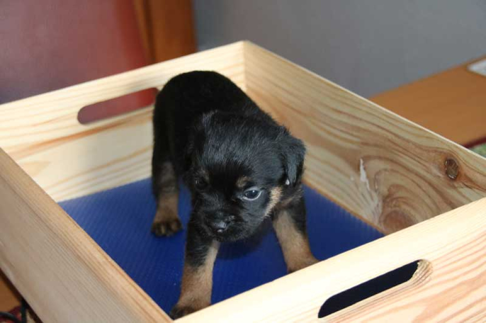 K-Wurf-Novemberi-2018-018